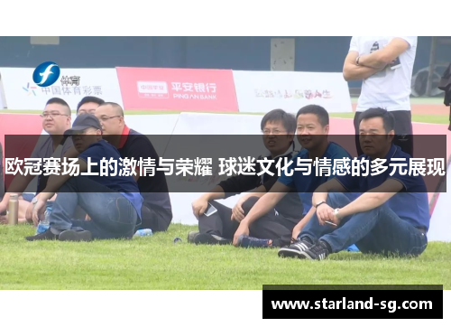 欧冠赛场上的激情与荣耀 球迷文化与情感的多元展现